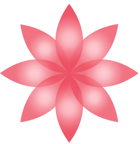 Salon Tracker Logo